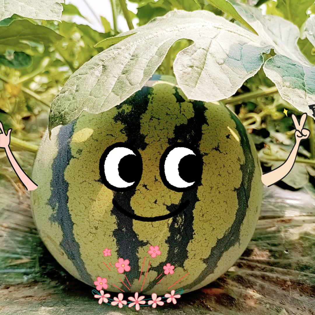 好运连连