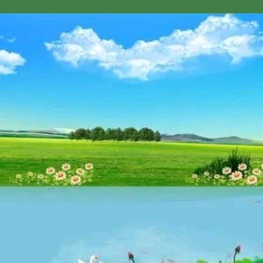 柳暗花明白三姐