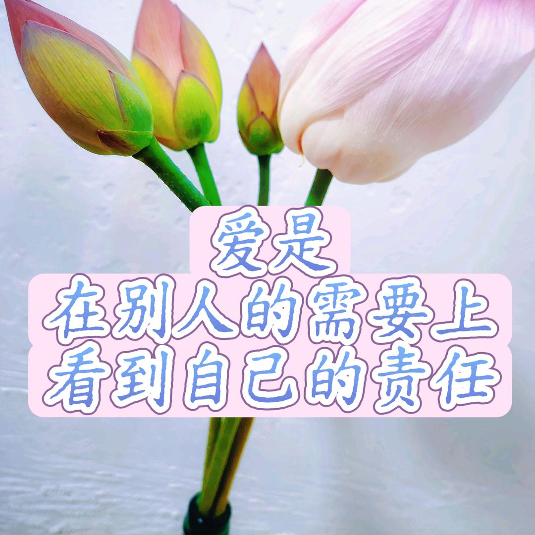 在家养生小分享