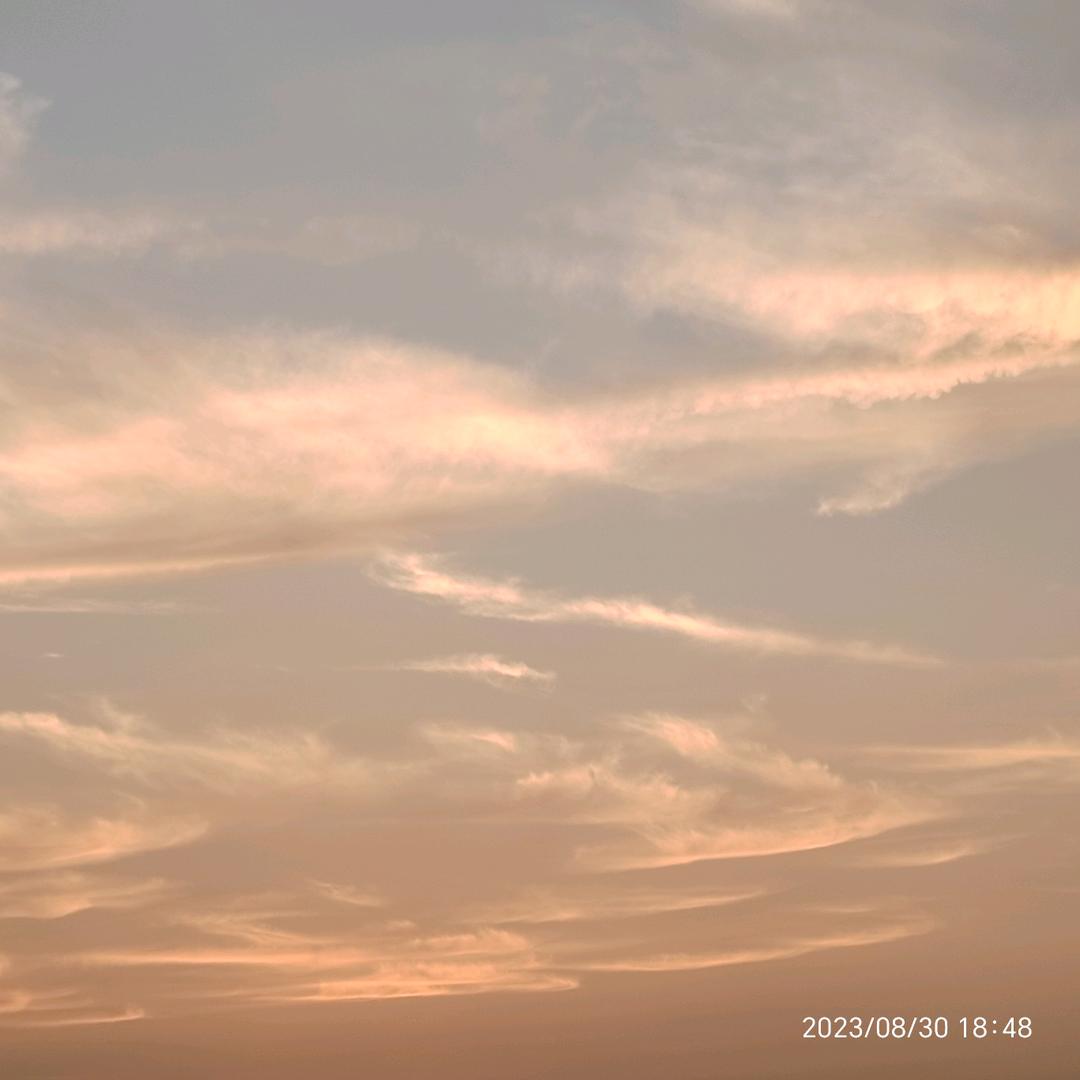 合力驾校吴教练