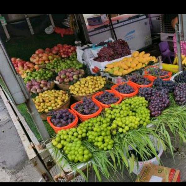 摆地摊的小钱钱