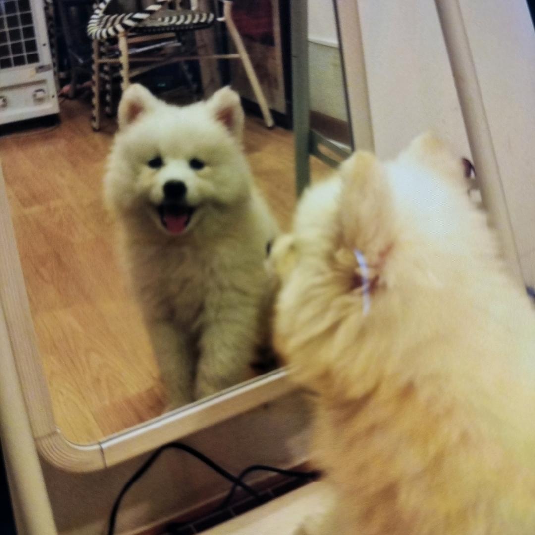 SEELI•熹里(接单ing)