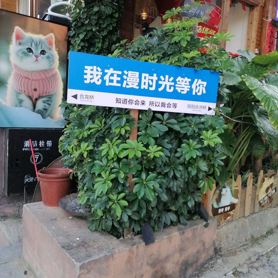 星星