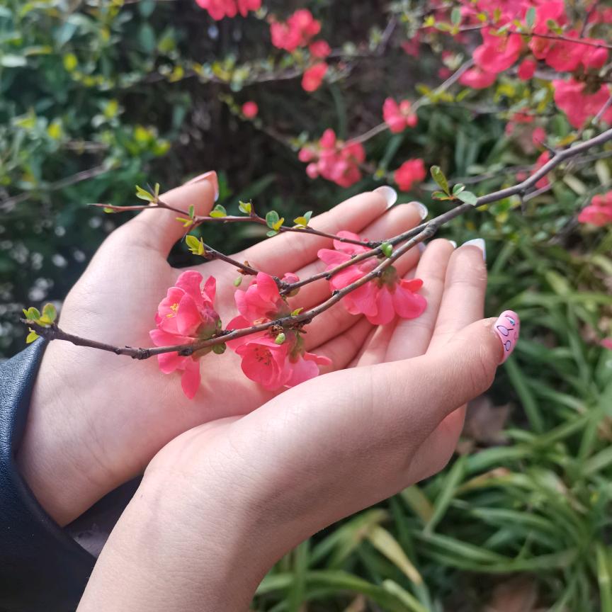 共🌹杜💅此🐖生