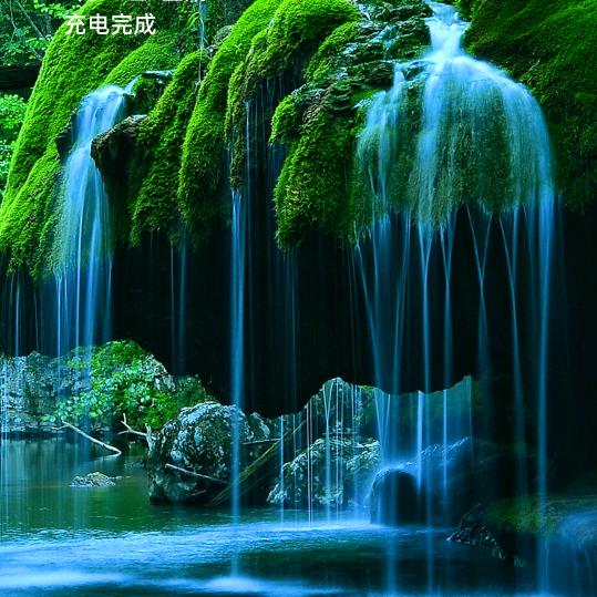 受伤的人种是我