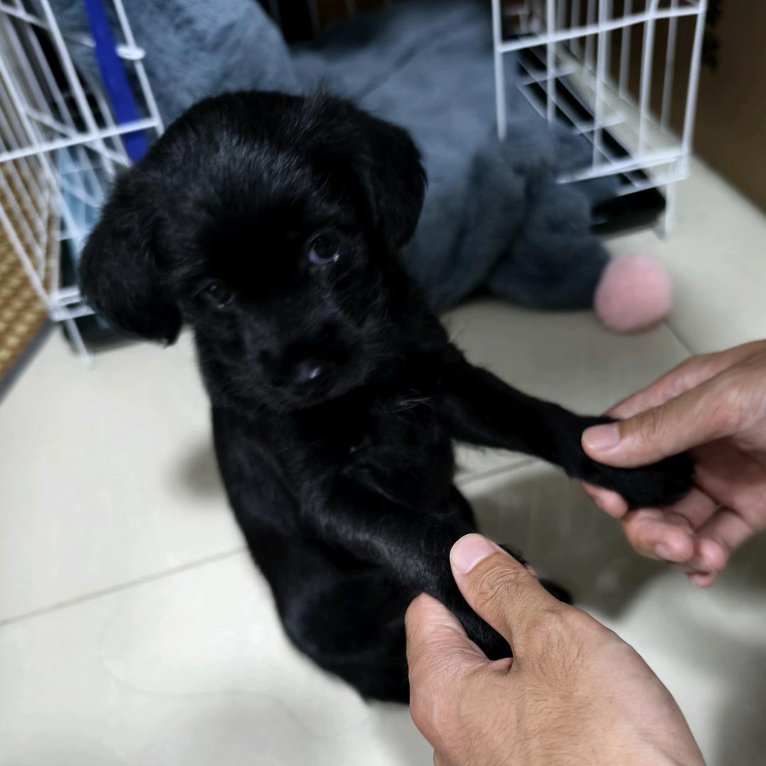 咪小咪