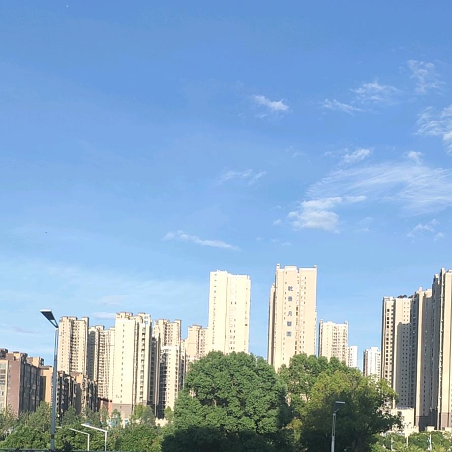 李李zz