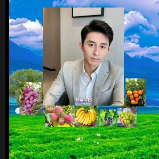 淘淘鲜果业