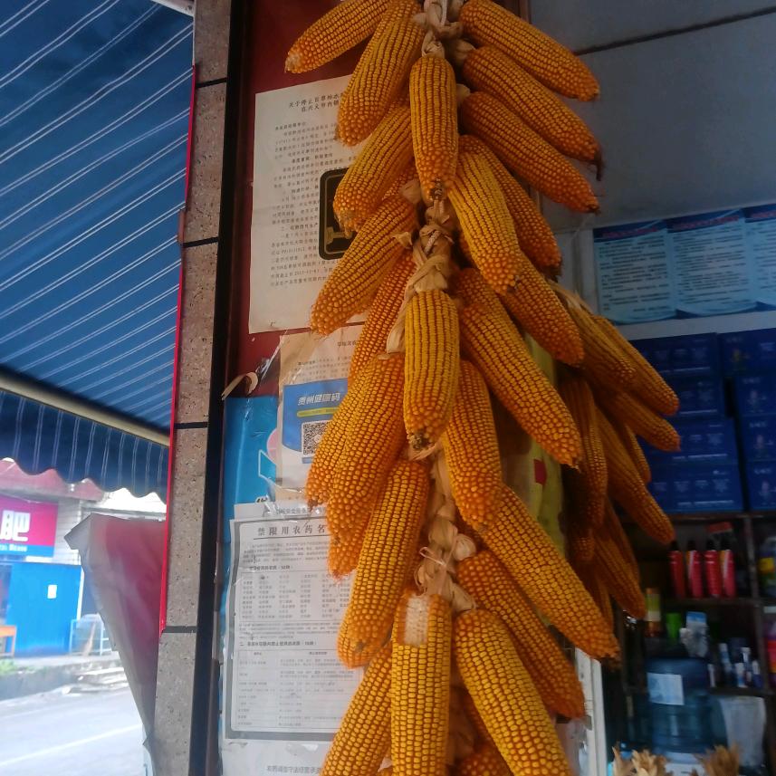 周友丽农资