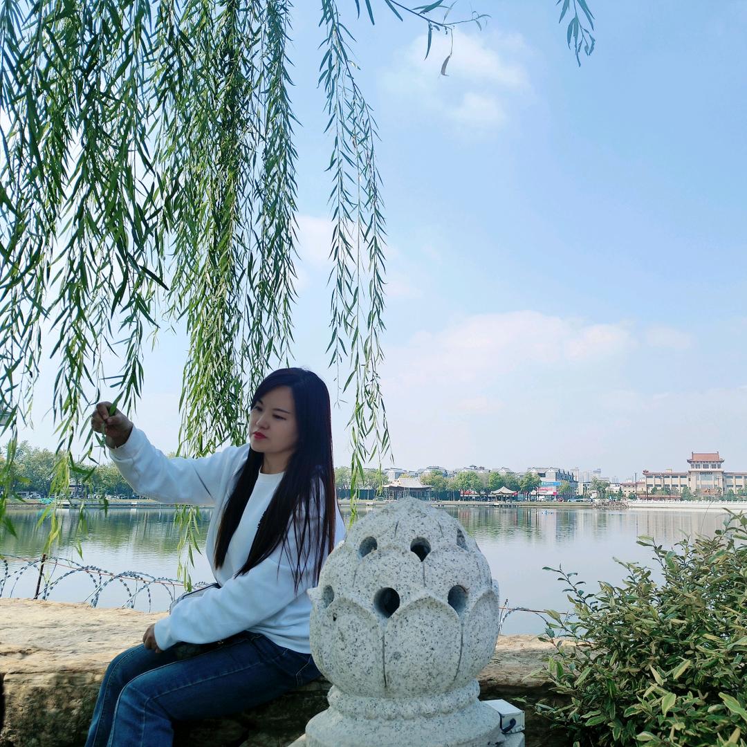 芦小玲·书法