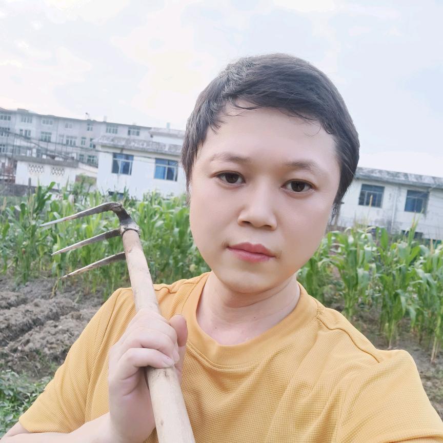 小伟哥美食
