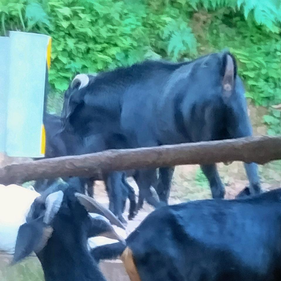 只有努力，别无选择