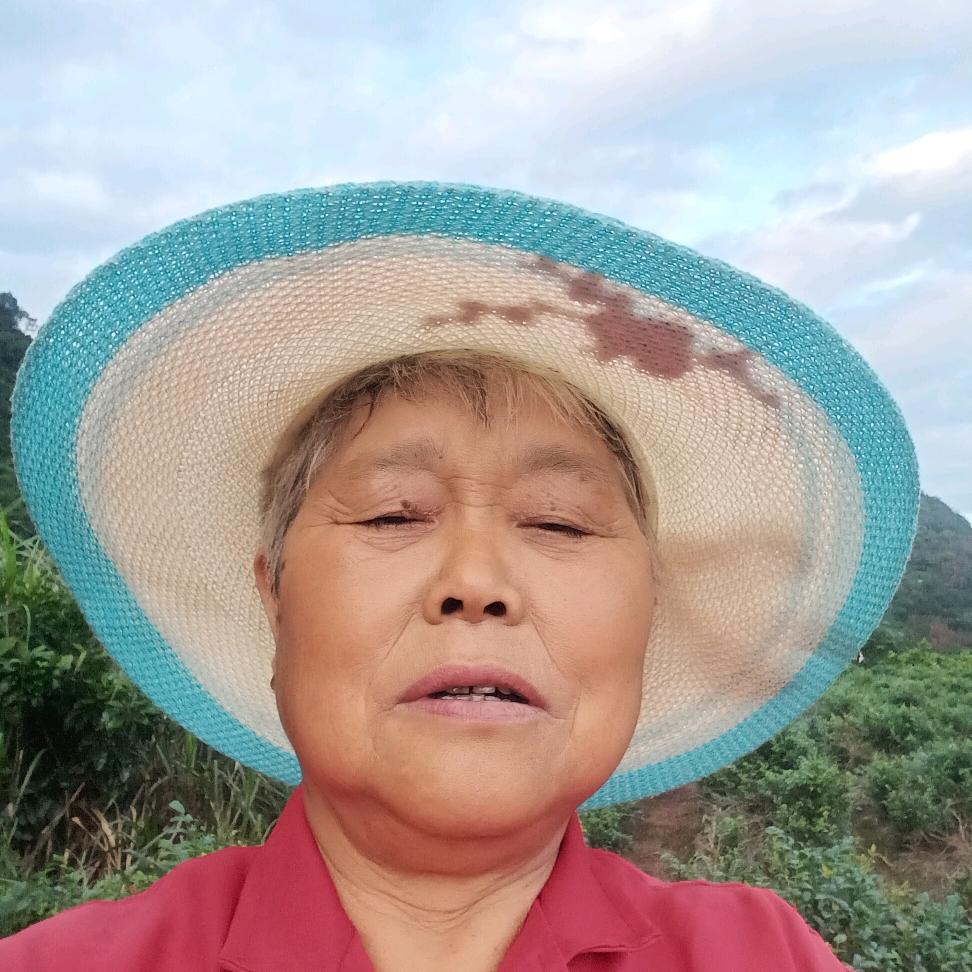 🌸童凤🌸