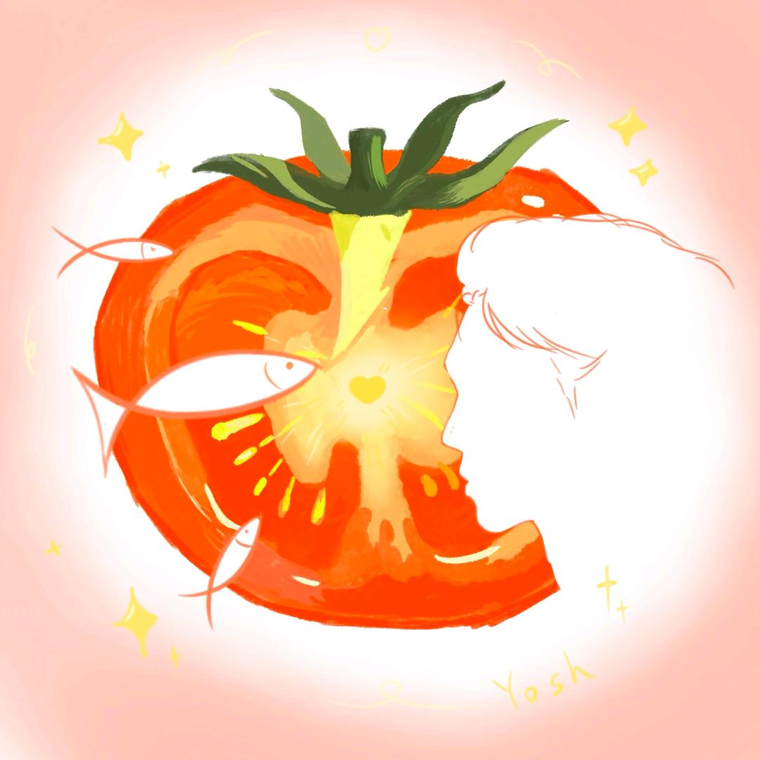 黑皮番茄🐟（见过于适版）