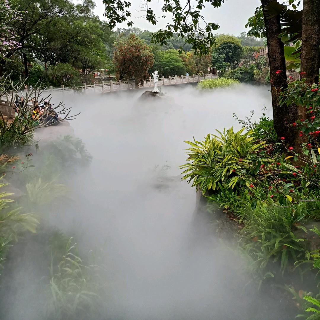 陌上冰蓝