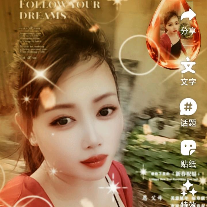 🐷秋影之歆🐷