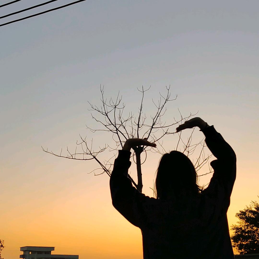 迪的白