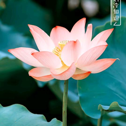 此处省略一万字