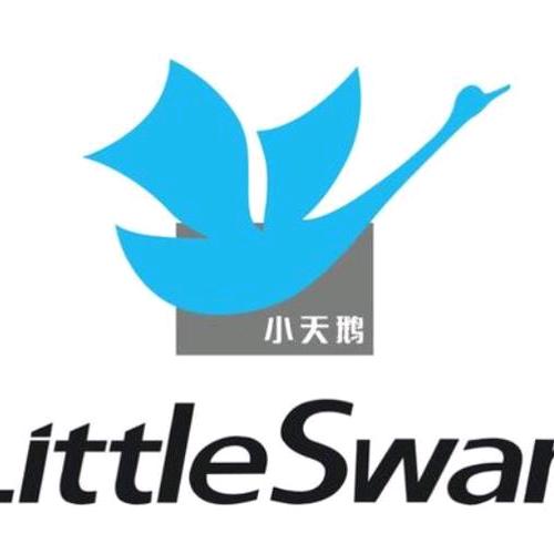 东关十字小天鹅（武威）