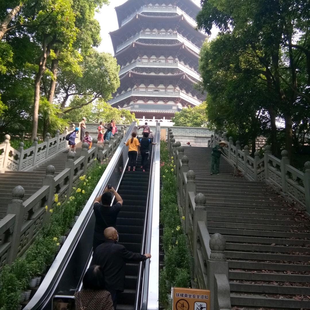 陈心如意i