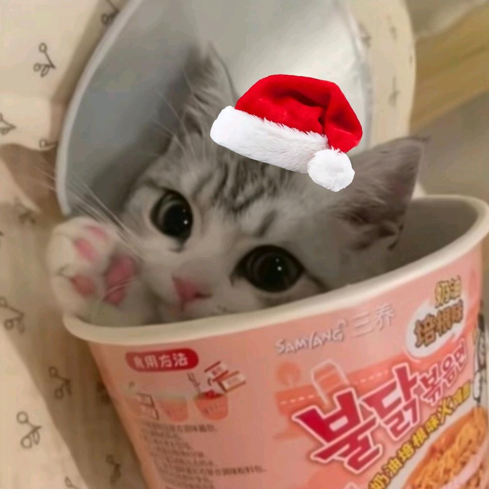 ꉂ ᳐˶'ᜊ'˶ ྀིಣ