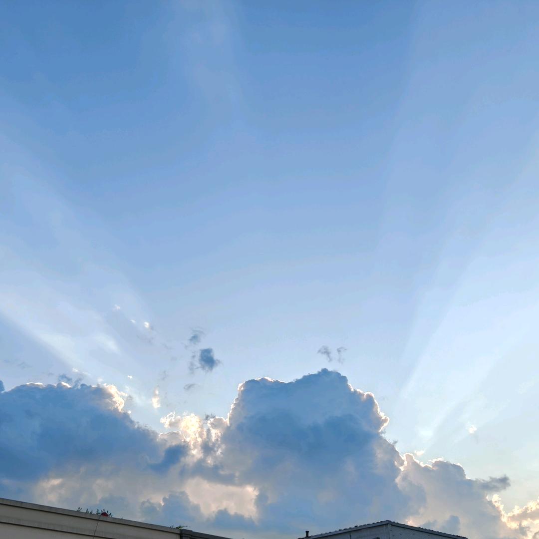 ✨✨✨✨✨✨✨