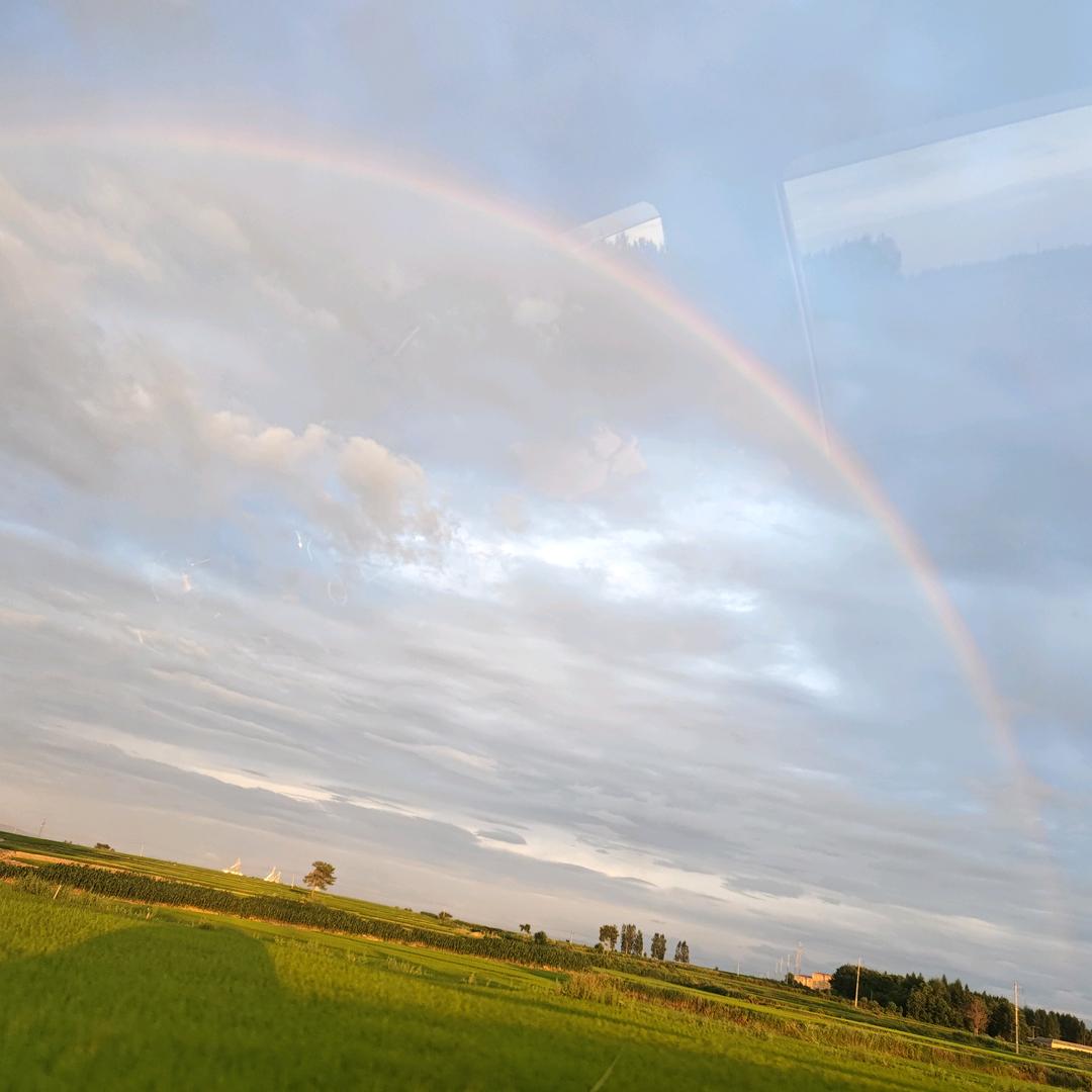 @隔壁老王家的生活日常