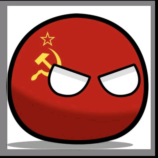 琴