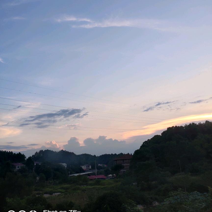 莲荷村