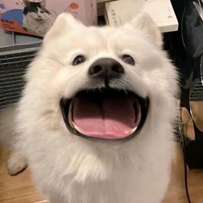 。。。。。。。
