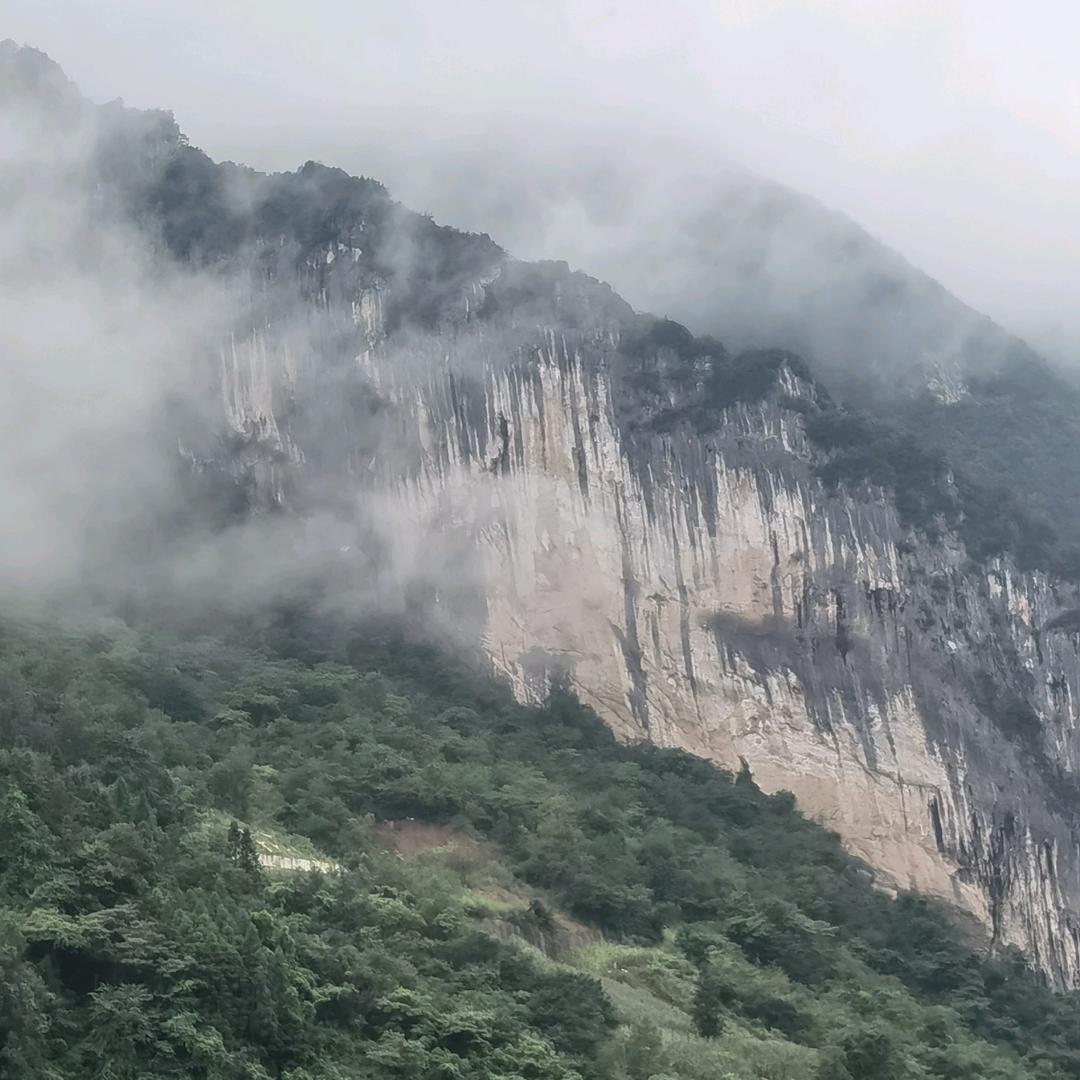 🇨🇳飞🇨🇳