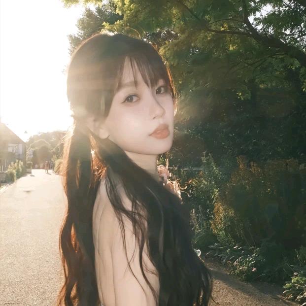 素年锦