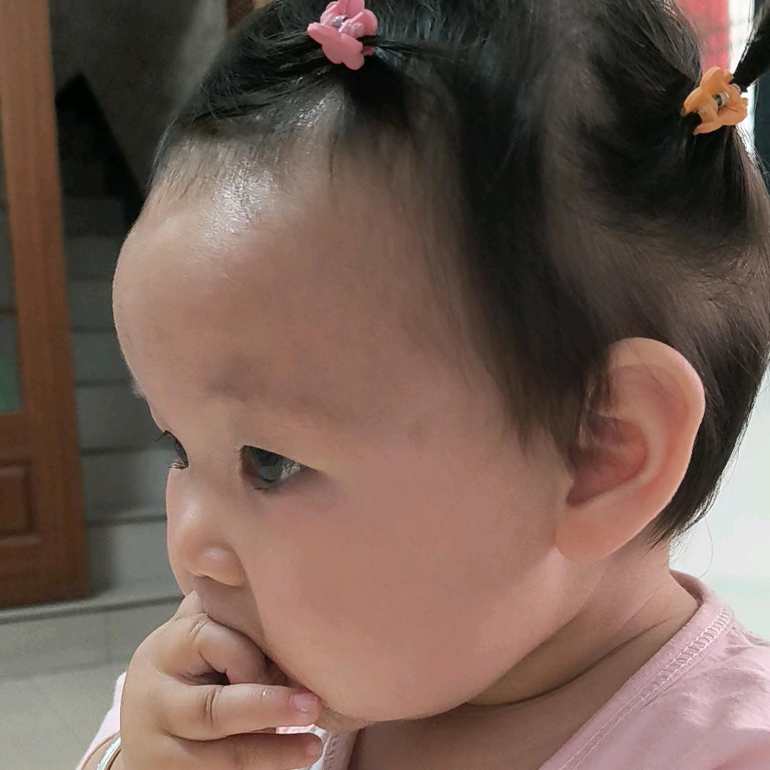 晴宝成长日记