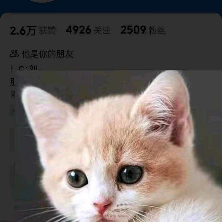 平安是福66