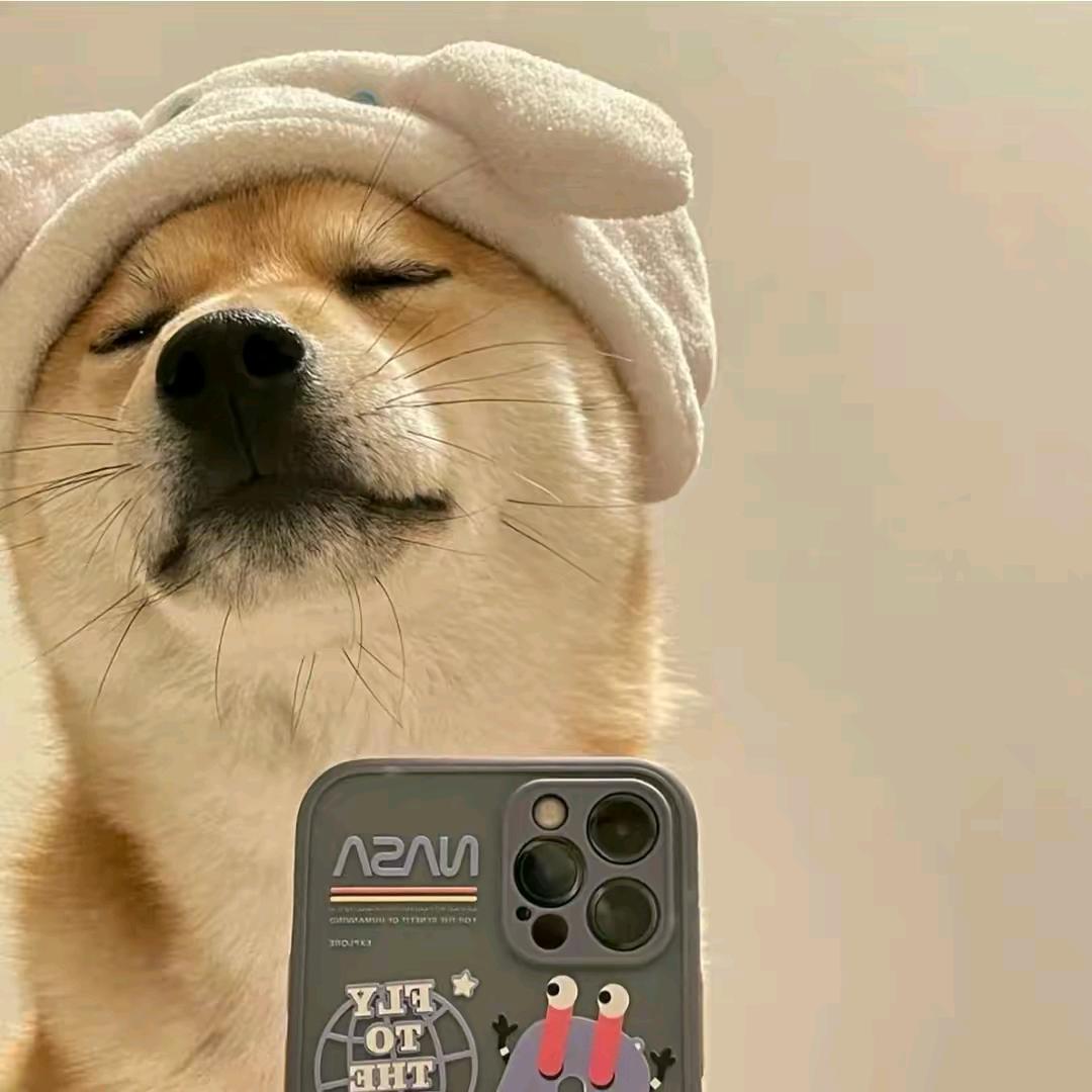 H丶