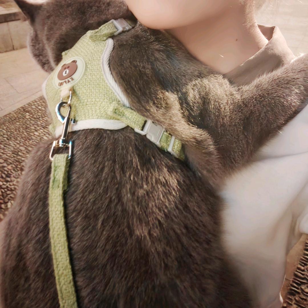 一昂-_-_