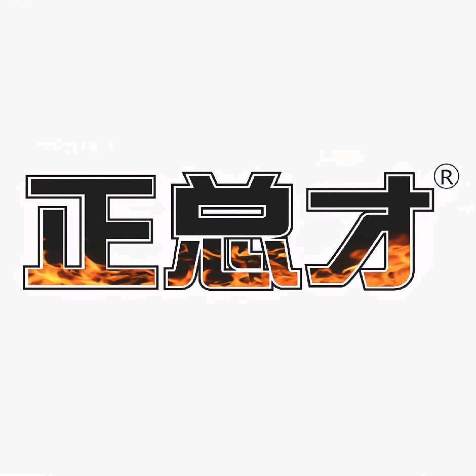 正总才企业店668