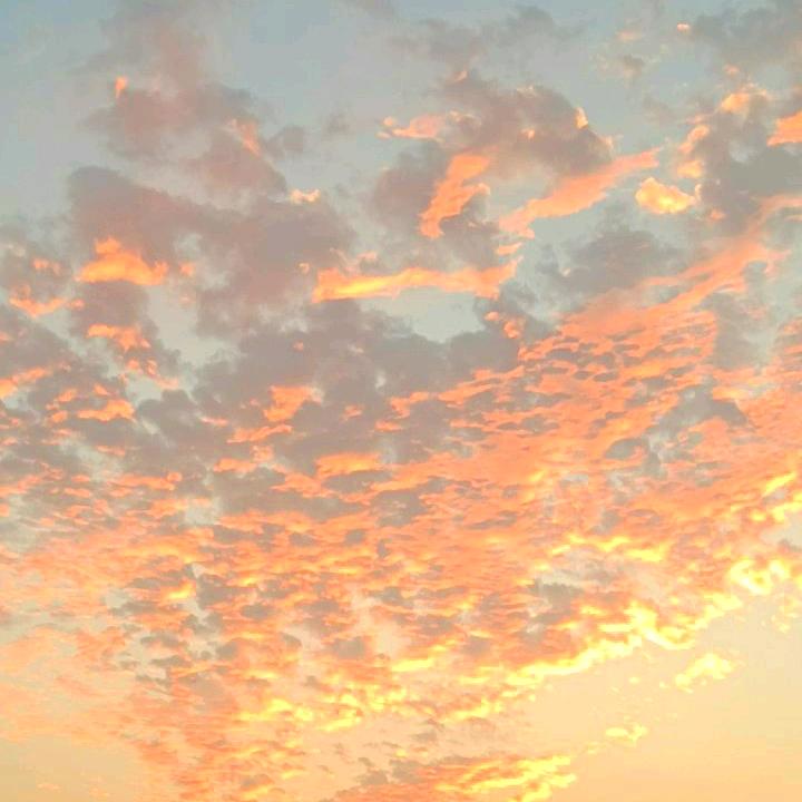 念、