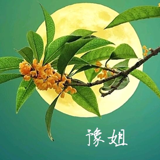 乁༼☯豫姐☯✿༽ㄏ
