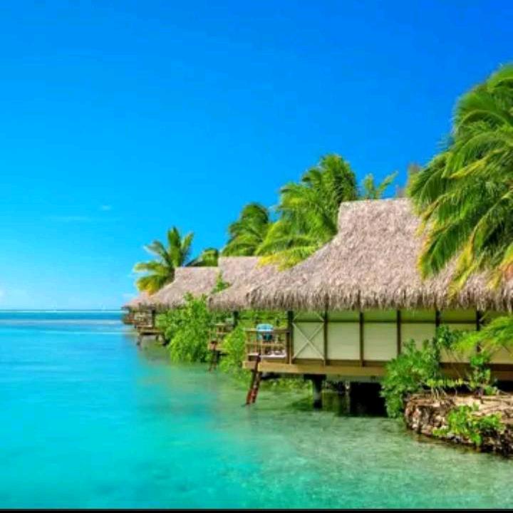 @静儿🎶（拒私聊）