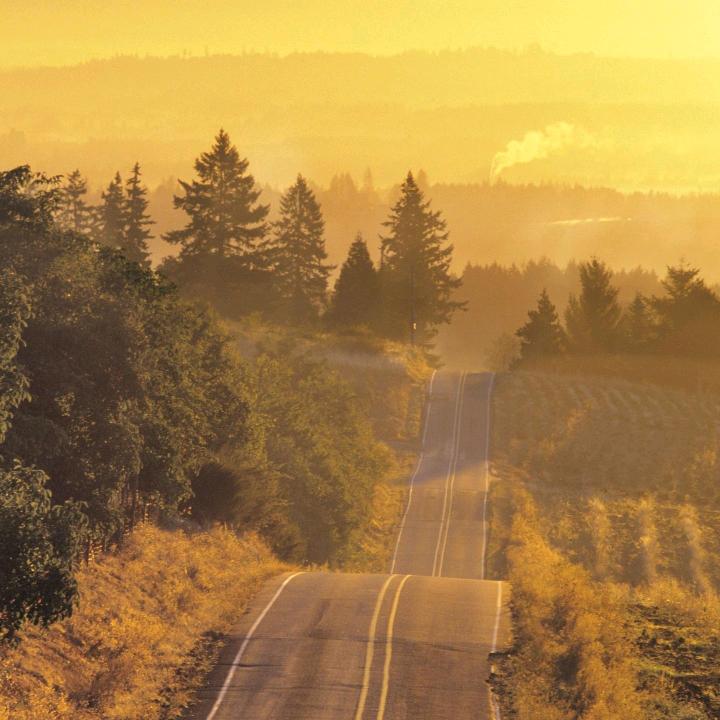 大张超市香贺店