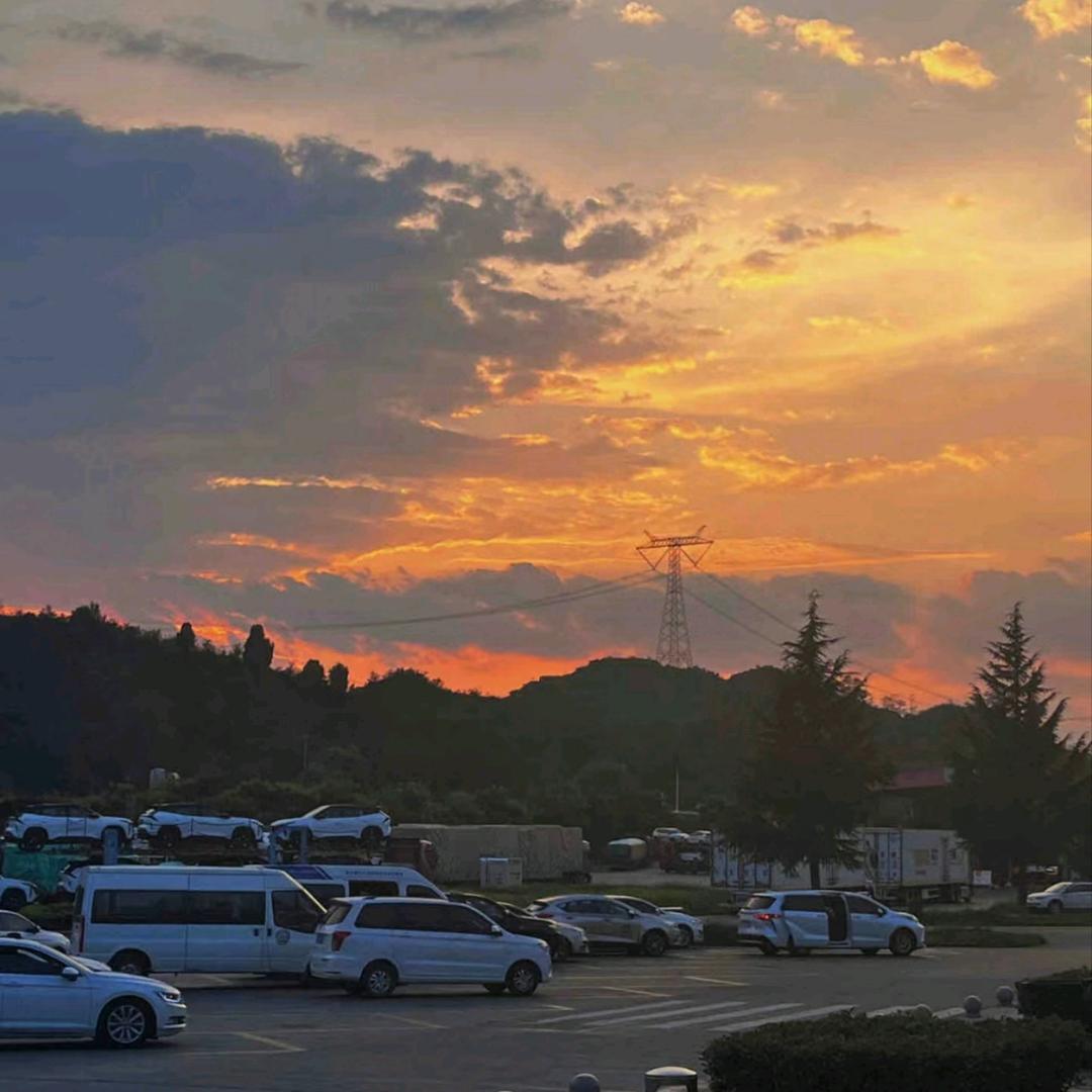 西红柿炒番茄🍅