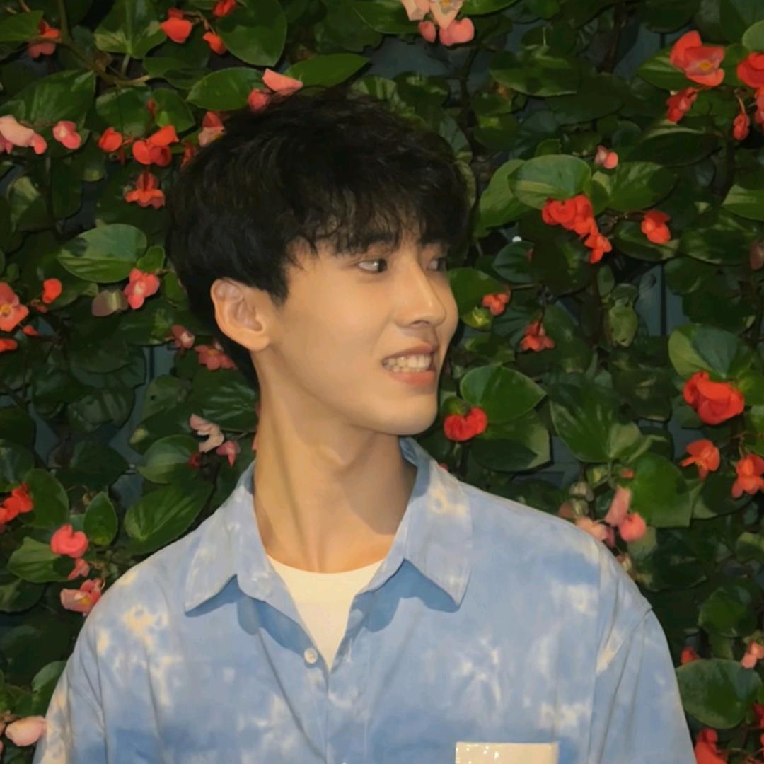 向阳小羊🔆