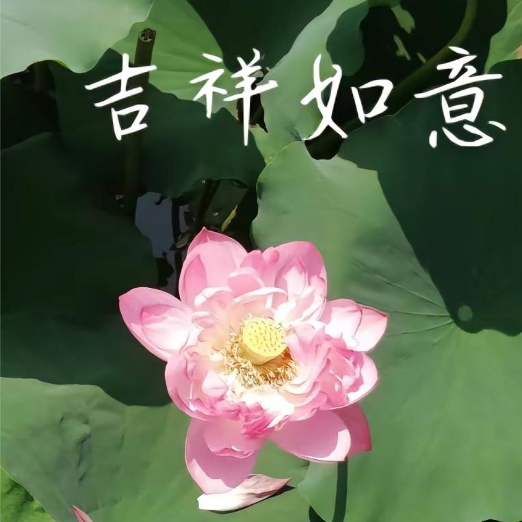好幸福