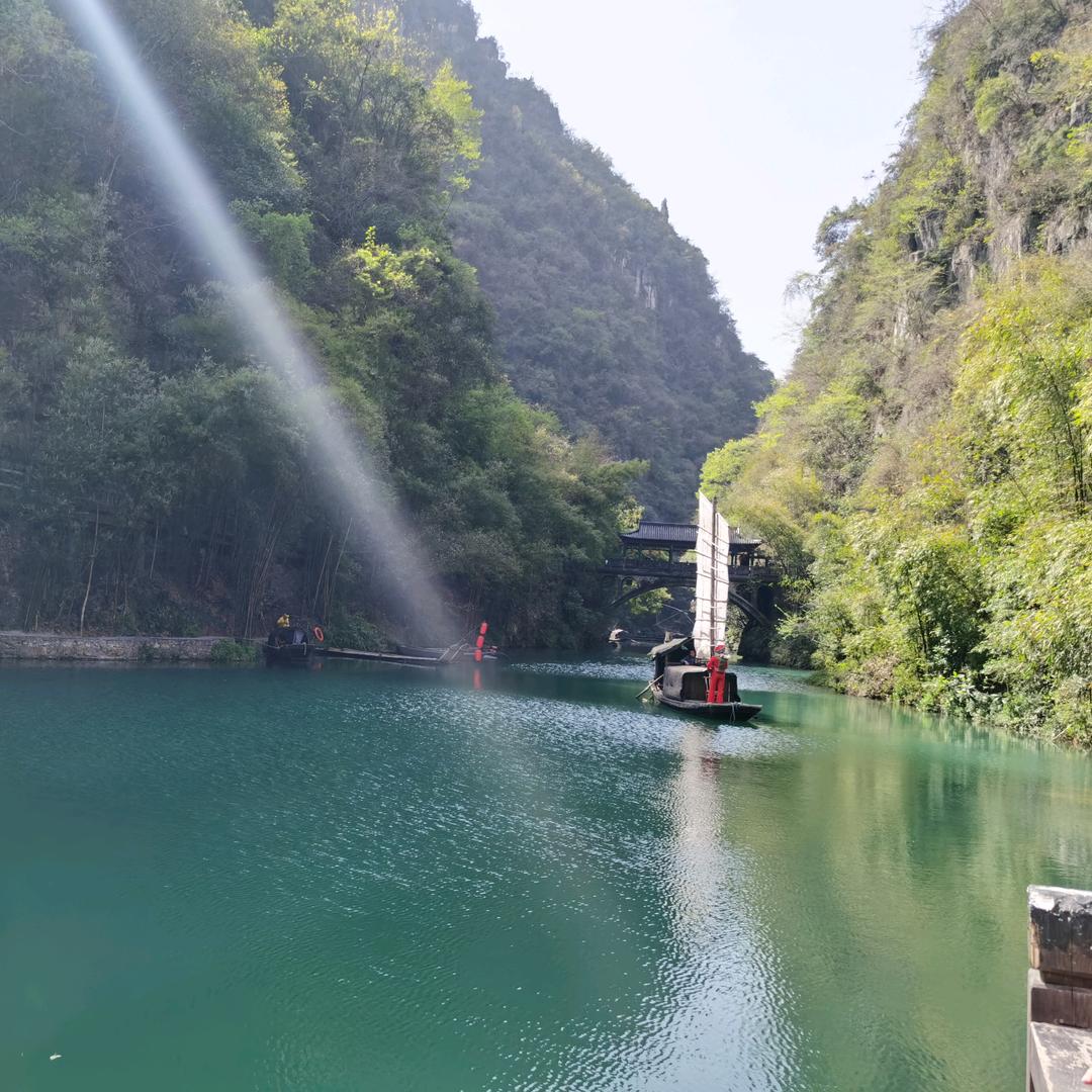 青青苹果