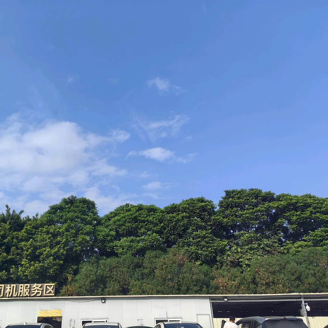 陈仔