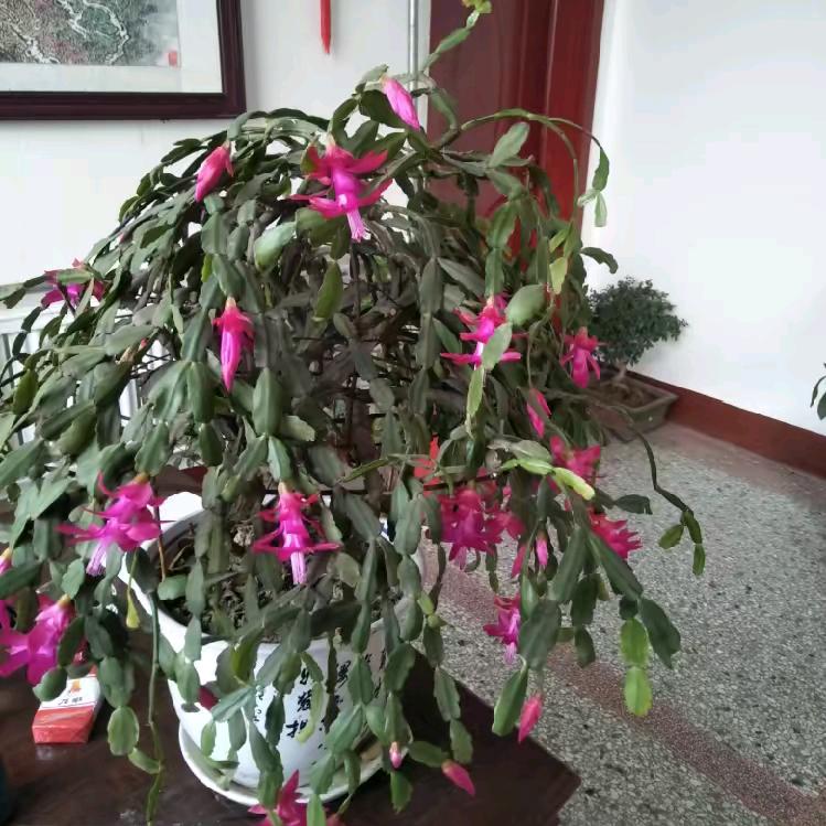 孤独的雨滴