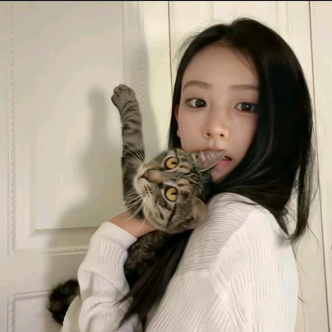 唐酥