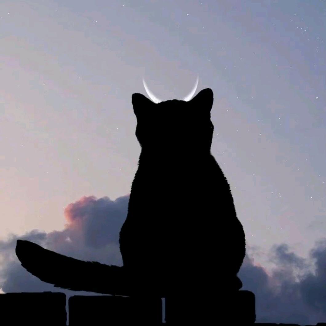 愤怒的油条