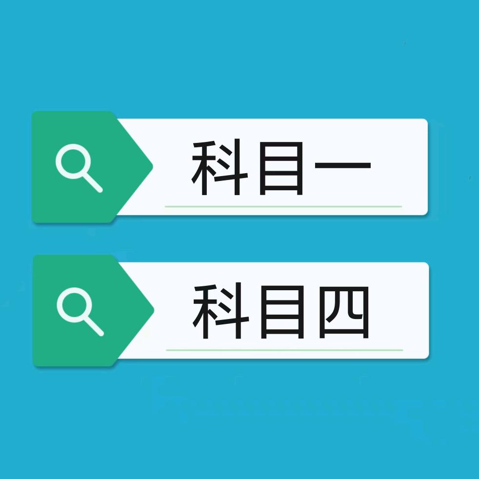 驾考 刘教练